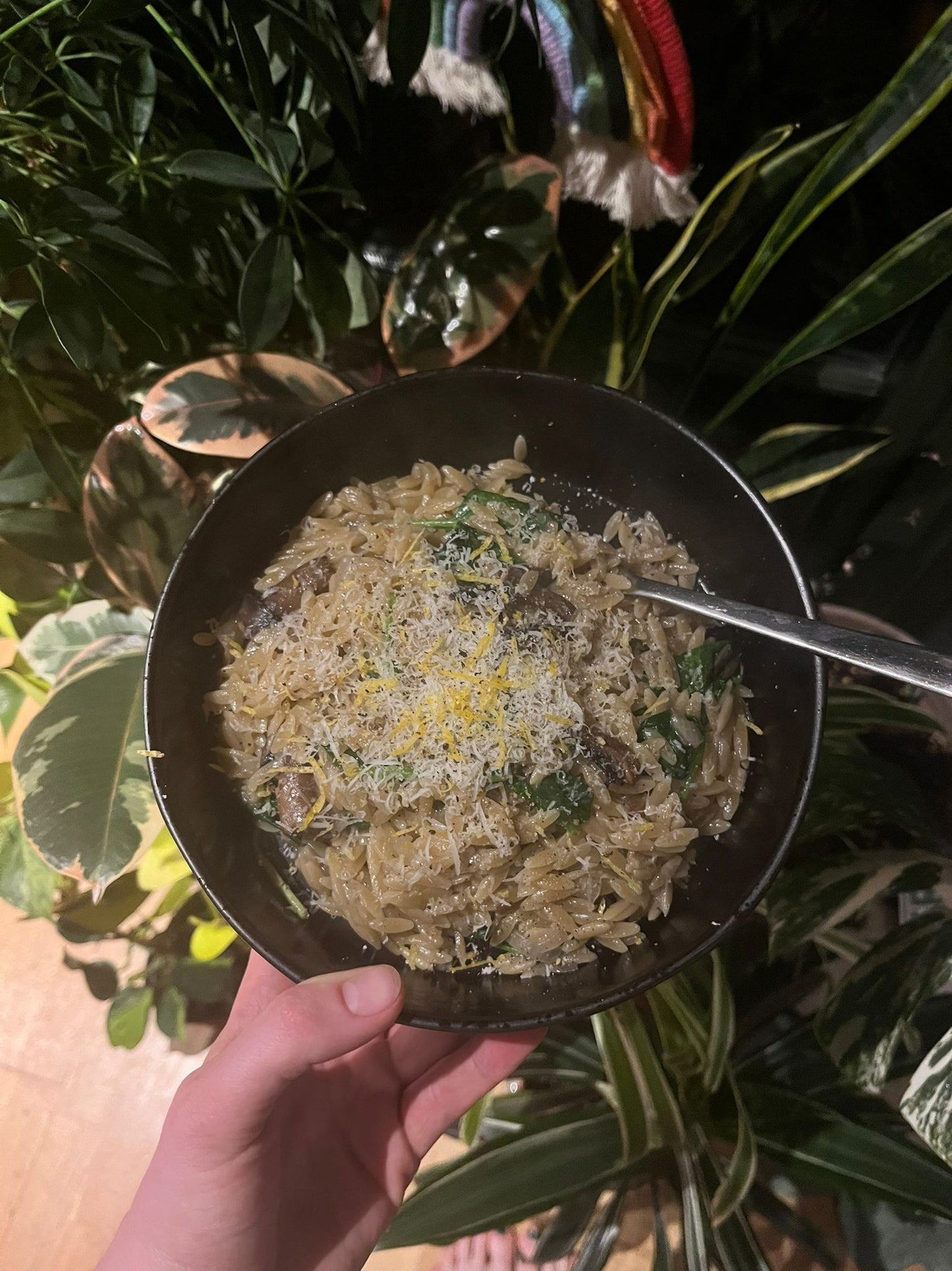 Meal Kit - Caramelised Mushroom and Spinach Orzo